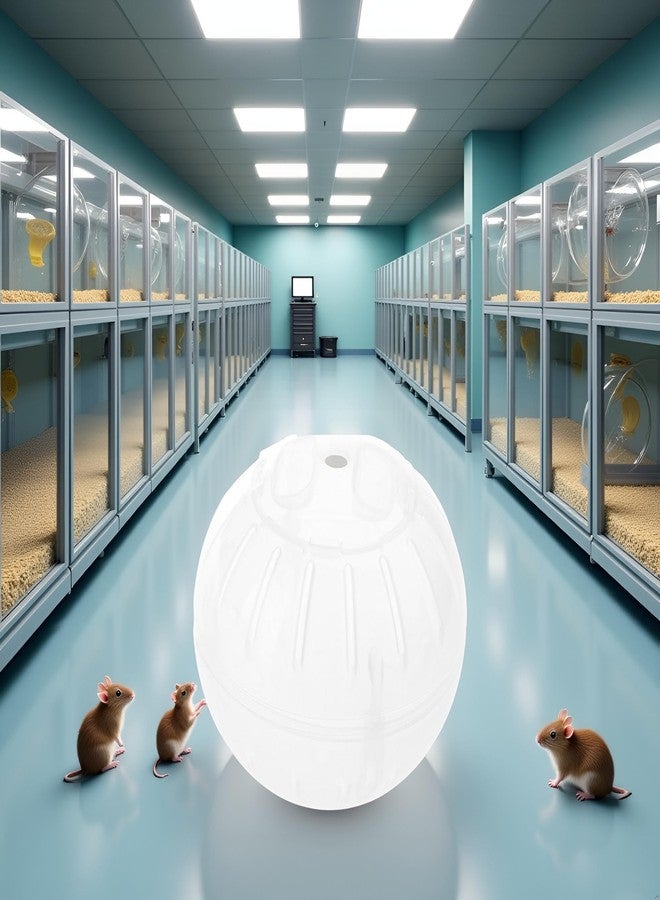 Seadiquiet 1Pc Silent Exercise Ball Plastic Spinner Hamster Running for Sugar Gliders Mice Gerbils Small Animal Exercise Wheels Multiple Colors Hamster Exercise Ball，Animal Health Supplie（White） - Image 4